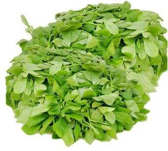 WATERLEAF 500g